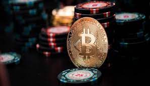 Вход на официальный сайт Pelican Casino